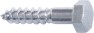 TORNILLO ROSC.LIMA C/EXAG.D510X 45     *