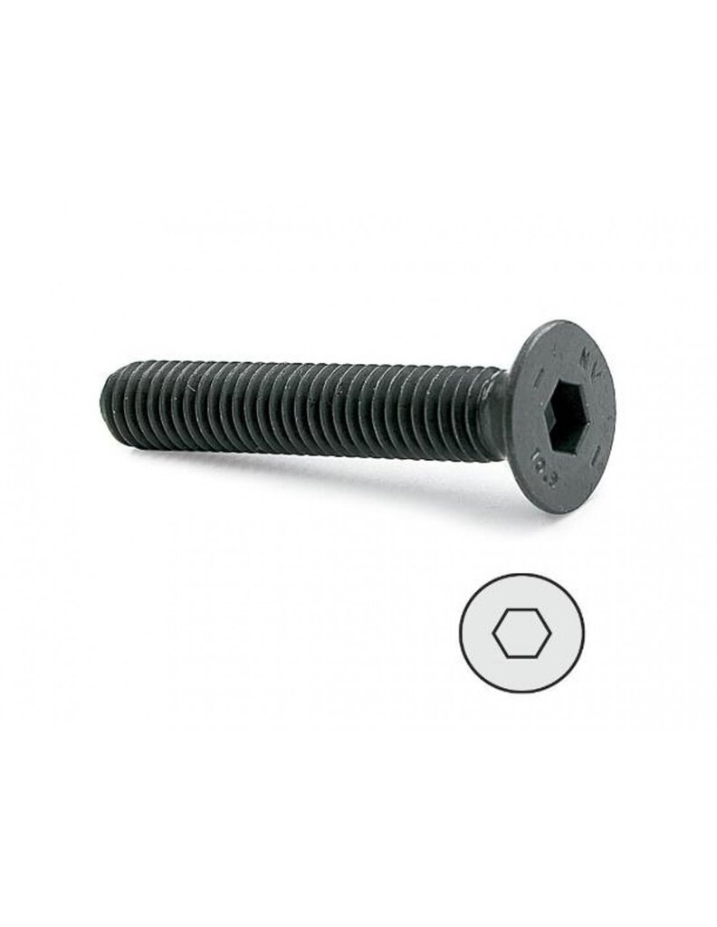TORNILLO ESCUDO 6 X 100 C/PLANA