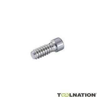 TORNILLO CABINEO X (12)    186380