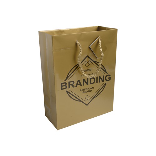 BOLSA CUERDA de PAPEL LAMINADO BRILLANTE (157gr) 22X29X10cm.