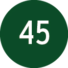Verde Lima