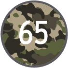 CAMUFLAJE