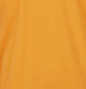 PARADISE ORANGE