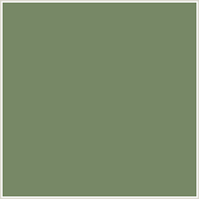 CAMO GREEN