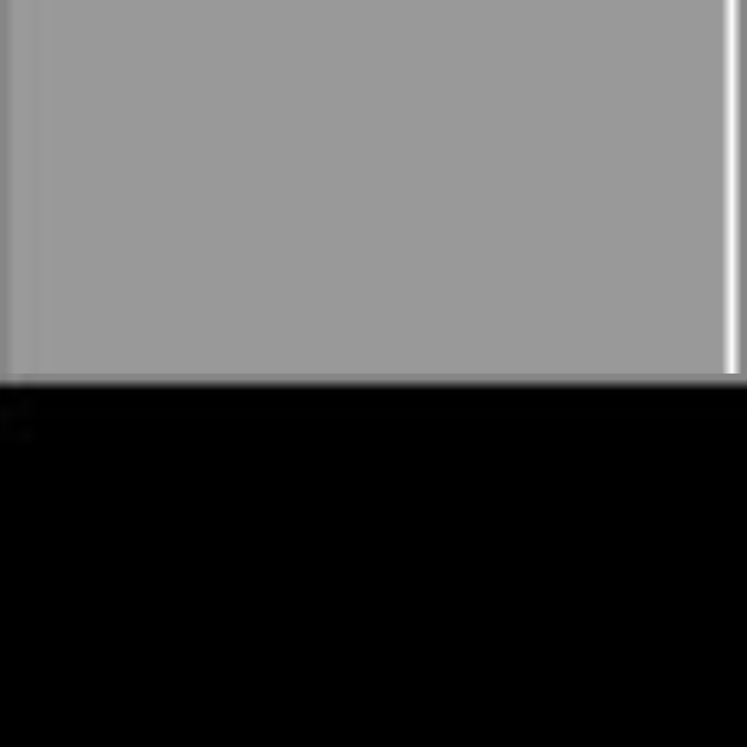 L.GREY/BLACK