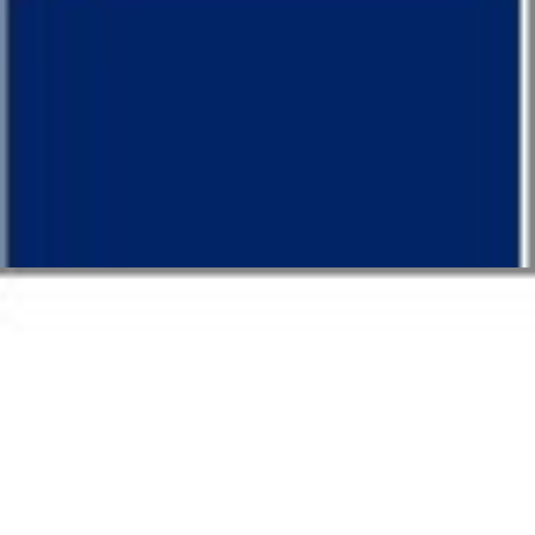 NAVY/WHITE