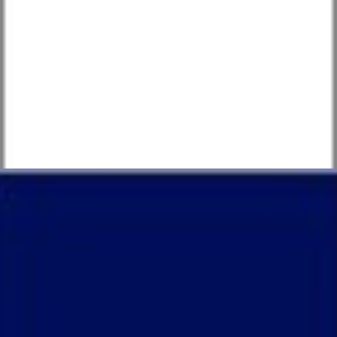 WHITE/FRENCH NAVY