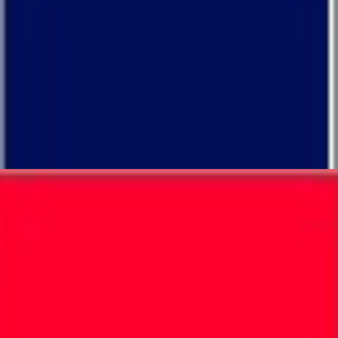 NAVY/red