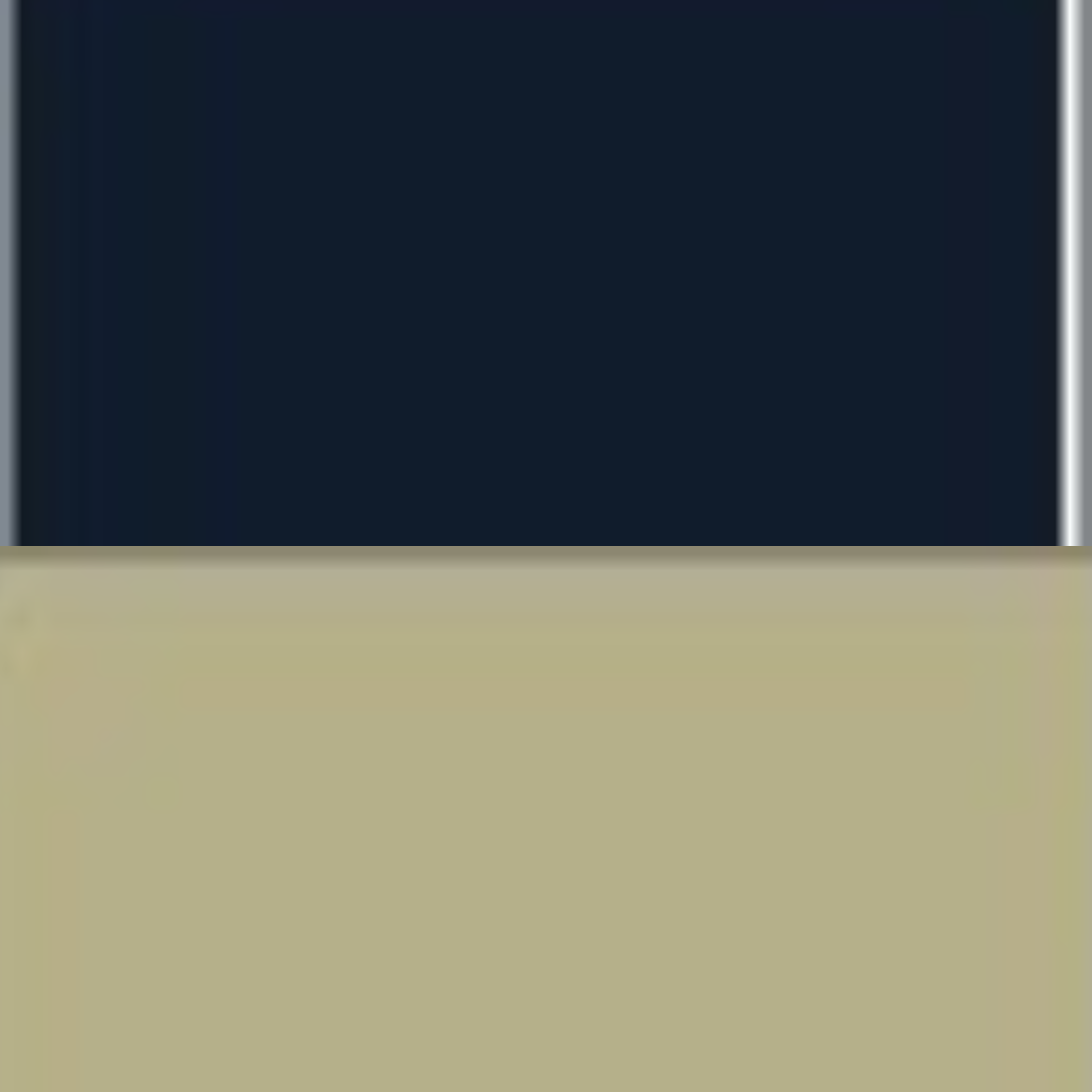 NAVY/PUTTY