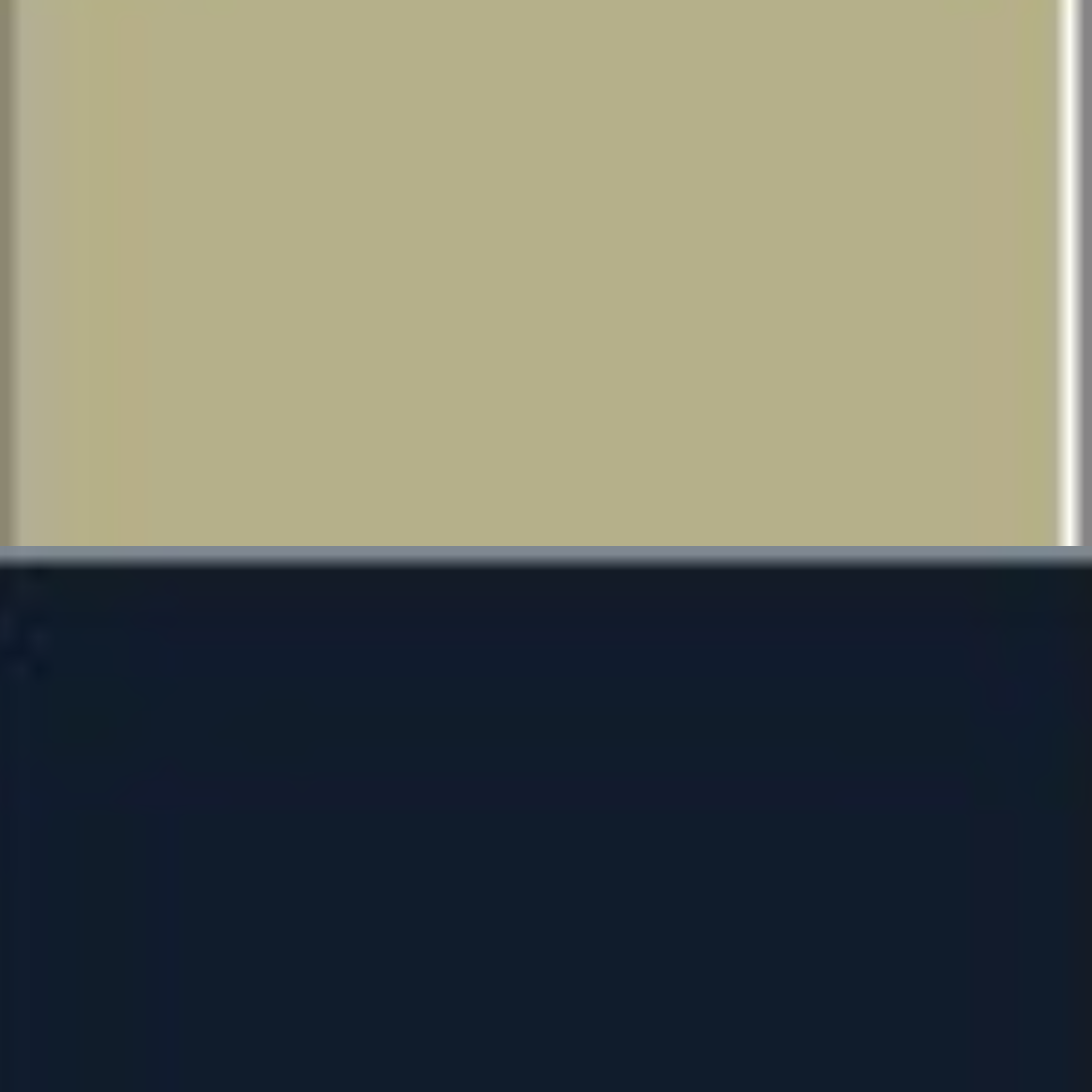 PUTTY/NAVY