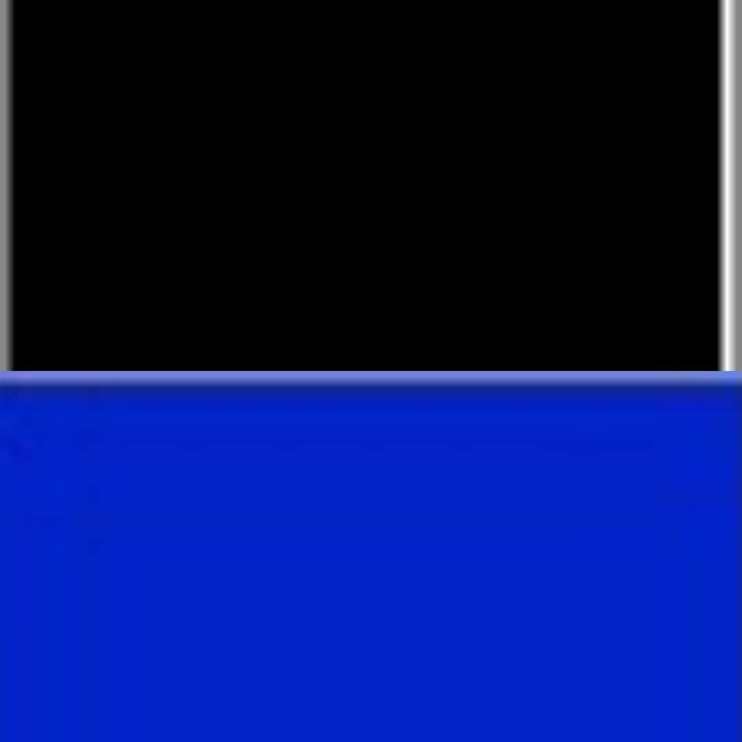 BLACK/BRIGHT ROYAL