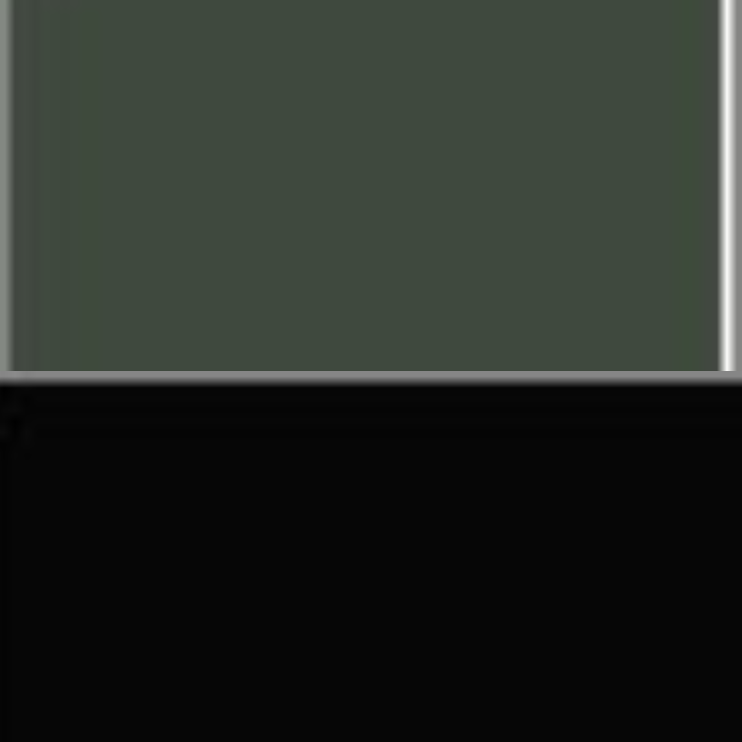 OLIVE/BLACK