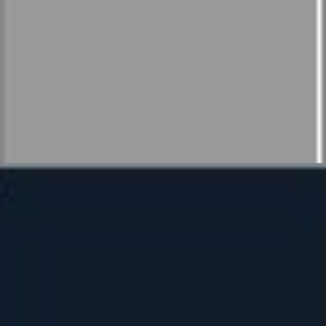 LIGHT GREY/FRENCH NAVY