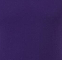 TEAM PURPLE