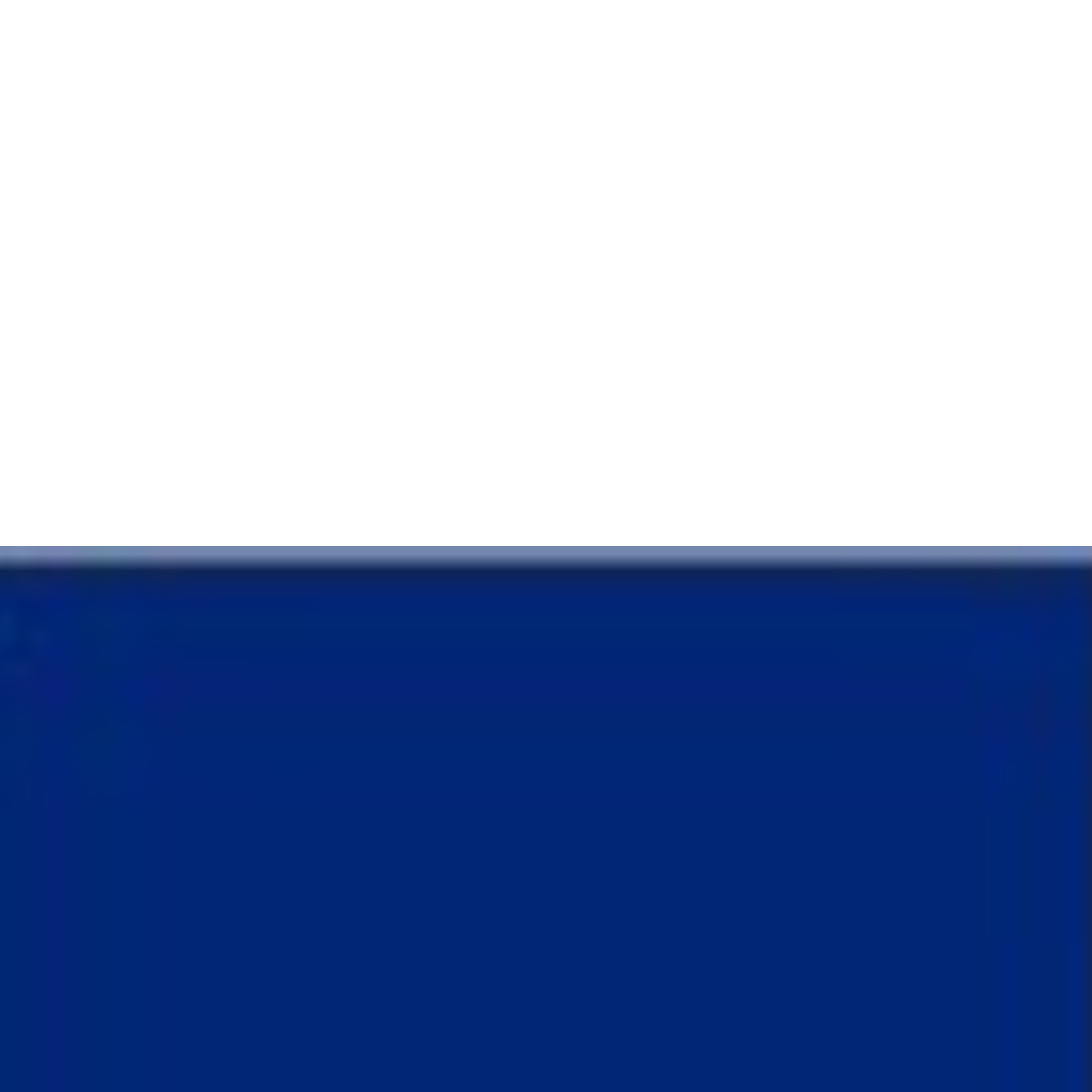 White/Nautical Navy