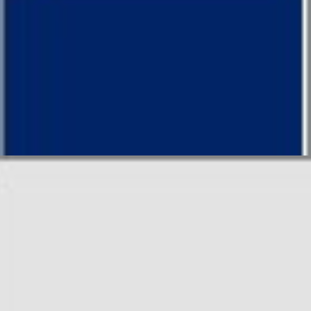 Navy/Silver
