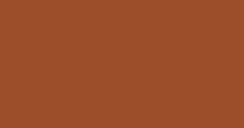 GINGER BISCUIT