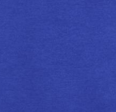 SURF THE WEB BLUE