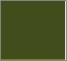 MOSS GREEN