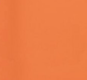 Hi vis orange