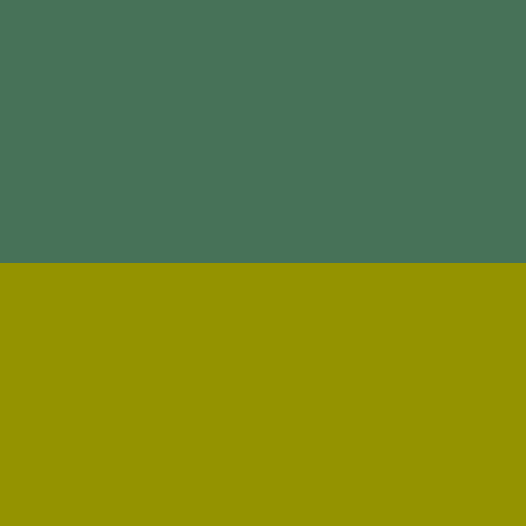 PARAMEDIC GREEN/YELLOW