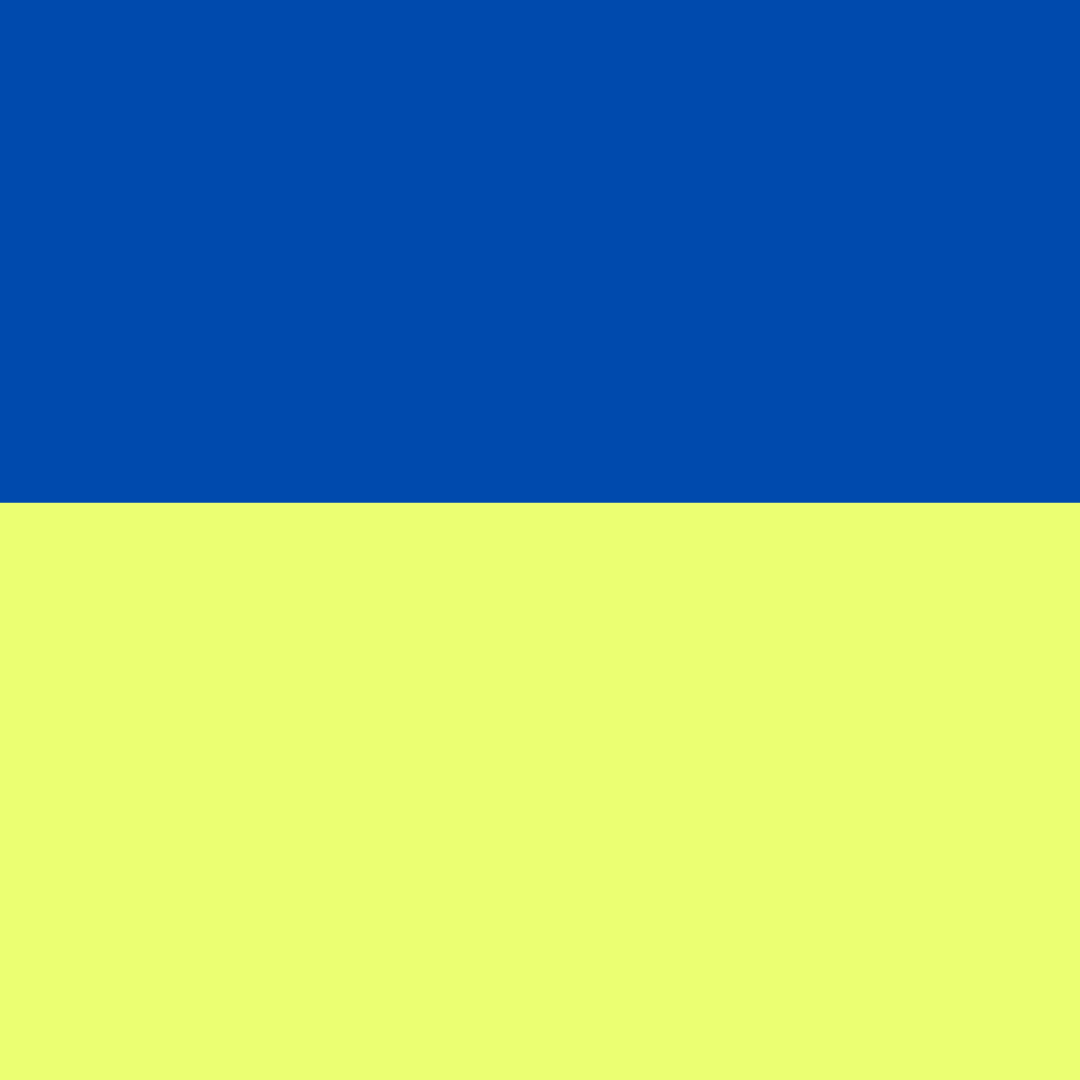 NAVY/FLUO YELLOW
