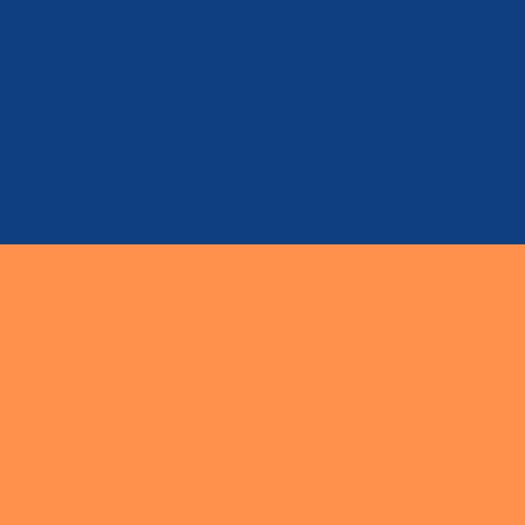 NAVY/ORANGE