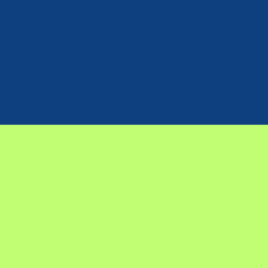 NAVY/FLUO GREEN