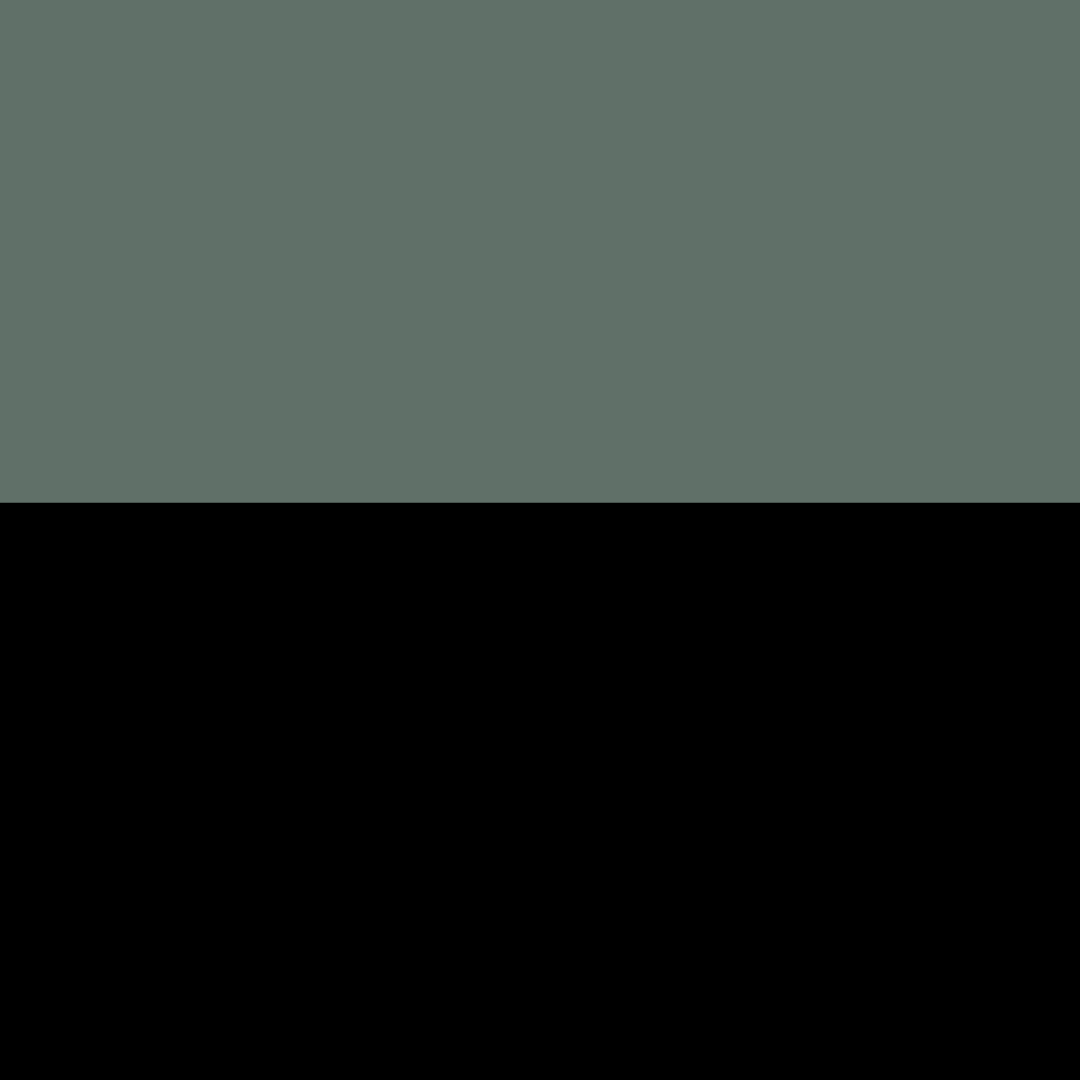 OLIVE/BLACK