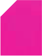 Rosa Fluor 2