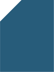 Azul duck