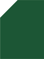 Verde Pino
