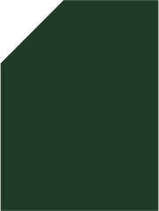 Verde Botella