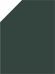Verde Bosque
