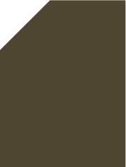 Army