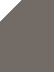 Zinc