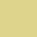 Amarillo Digital
