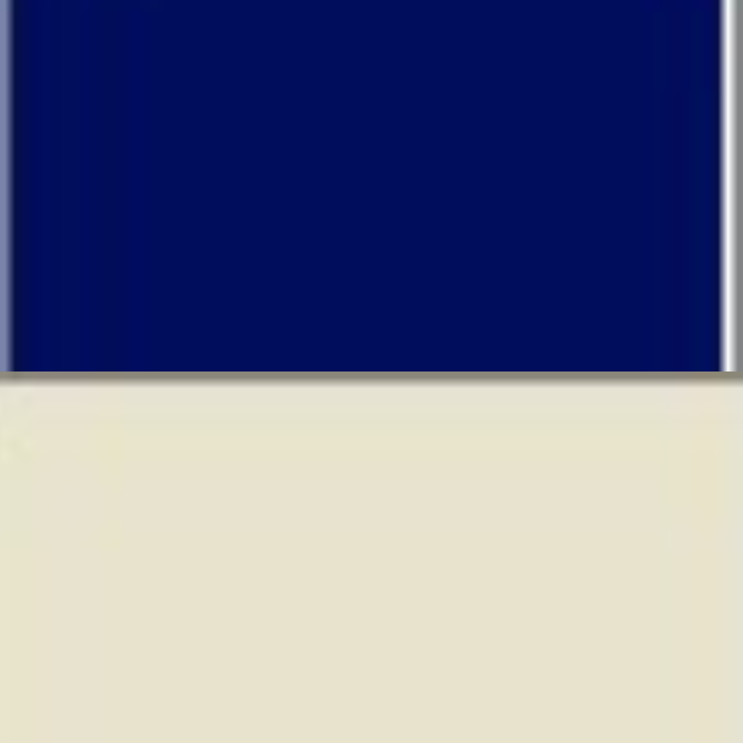 FRENCH NAVY/NATURAL