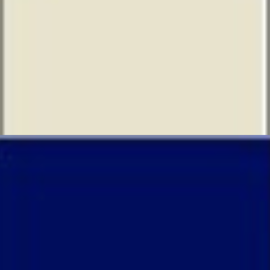 NATURAL/NAVY