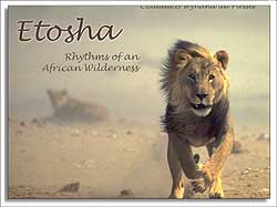 ETOSHA. RHYTHMS OF AN AFRICAN WILDERNESS 2