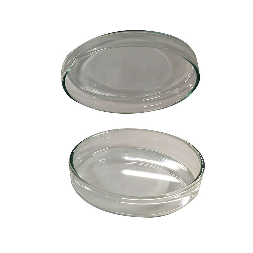 CÁPSULA DE PETRI 120 mm DIÁMETRO 2