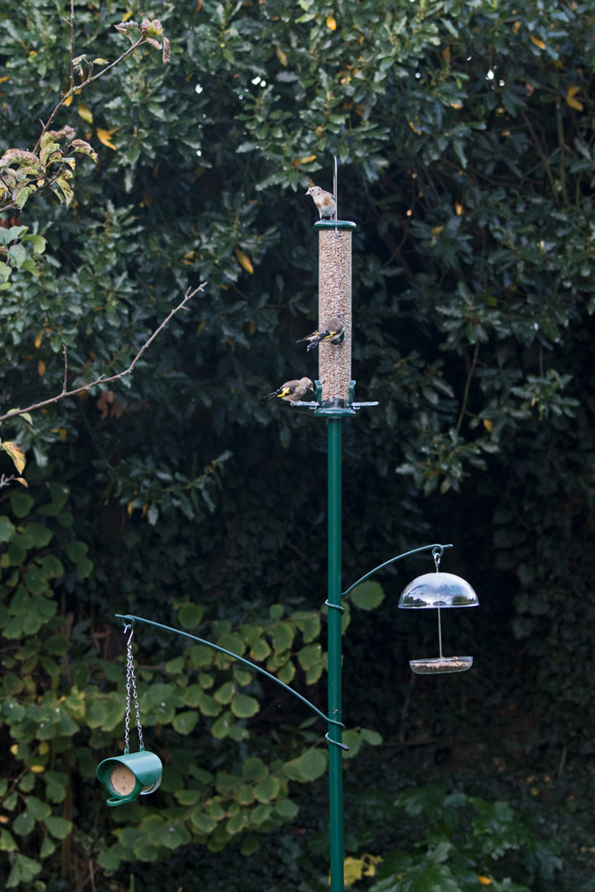 PO-G PALO DE JARDÍN "GARDEN POLE" 5