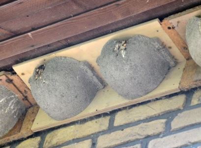 Nº 9B CAJA NIDO DOBLE PARA AVIÓN COMÚN 2