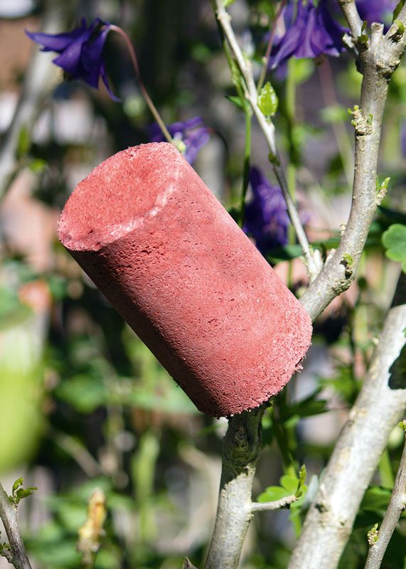 REFUGIO PARA TIJERETAS Y MARIQUITAS (3 UNIDADES) 2