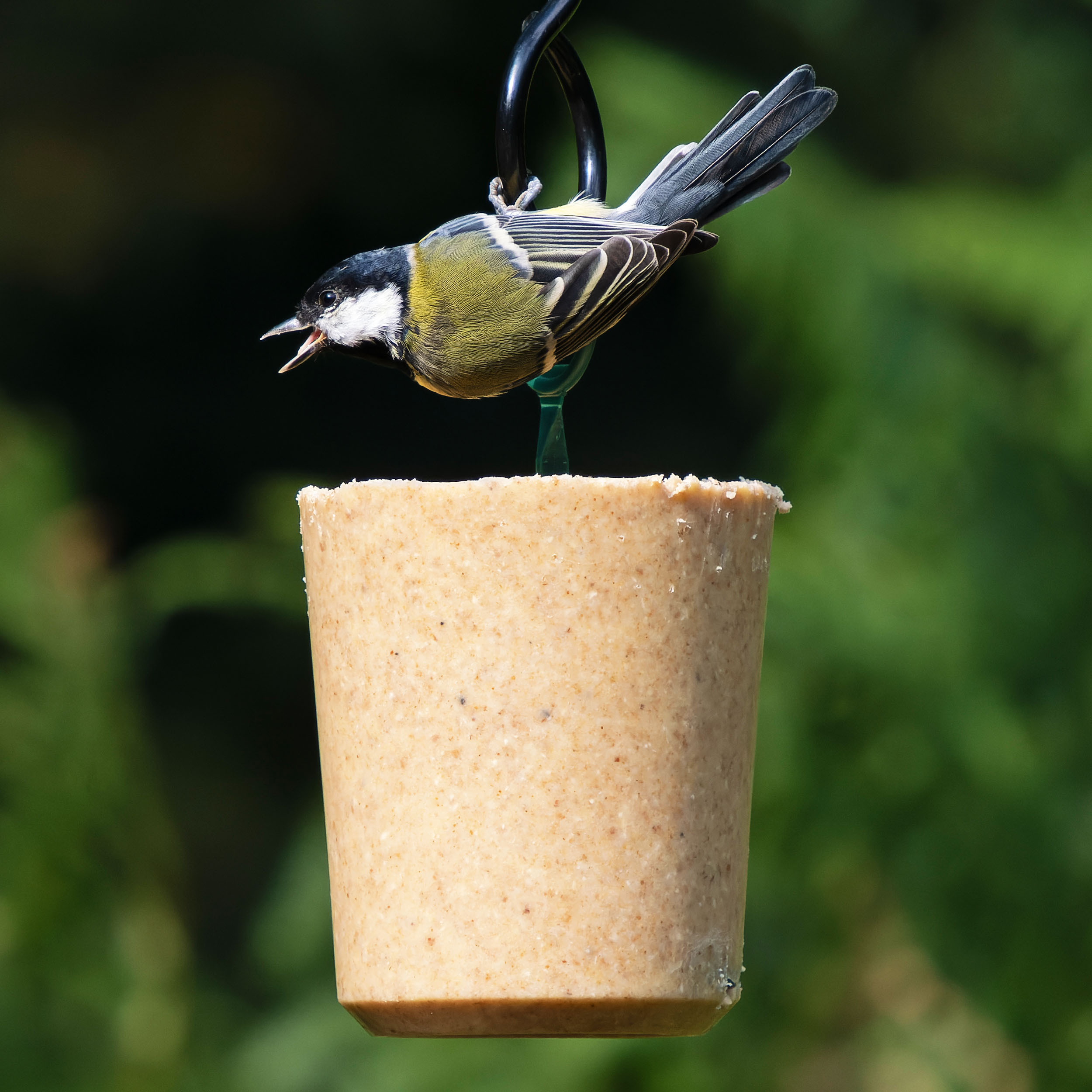 DIF-TIN TUBO DE SEBO CON INSECTOS 800G 2