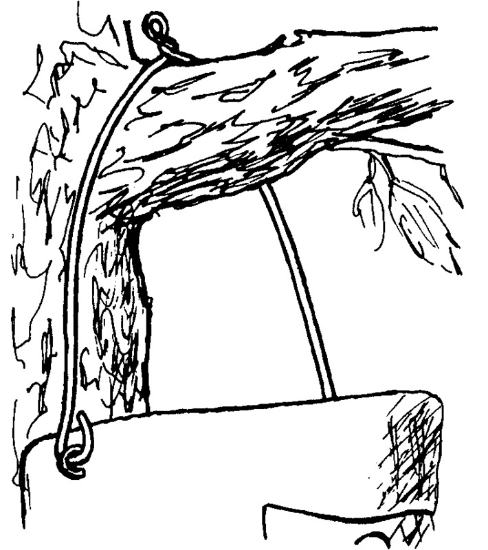 1B-26 CAJA NIDO PARA HERRERILLOS Y CARBONEROS GARRAPINOS 4