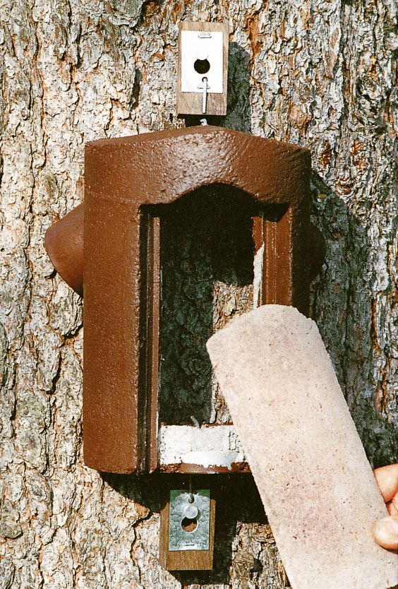 2B CAJA NIDO PARA AGATEADOR 2