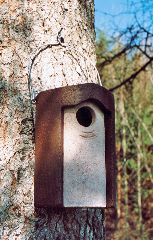 3S CAJA NIDO PARA ESTORNINO 2