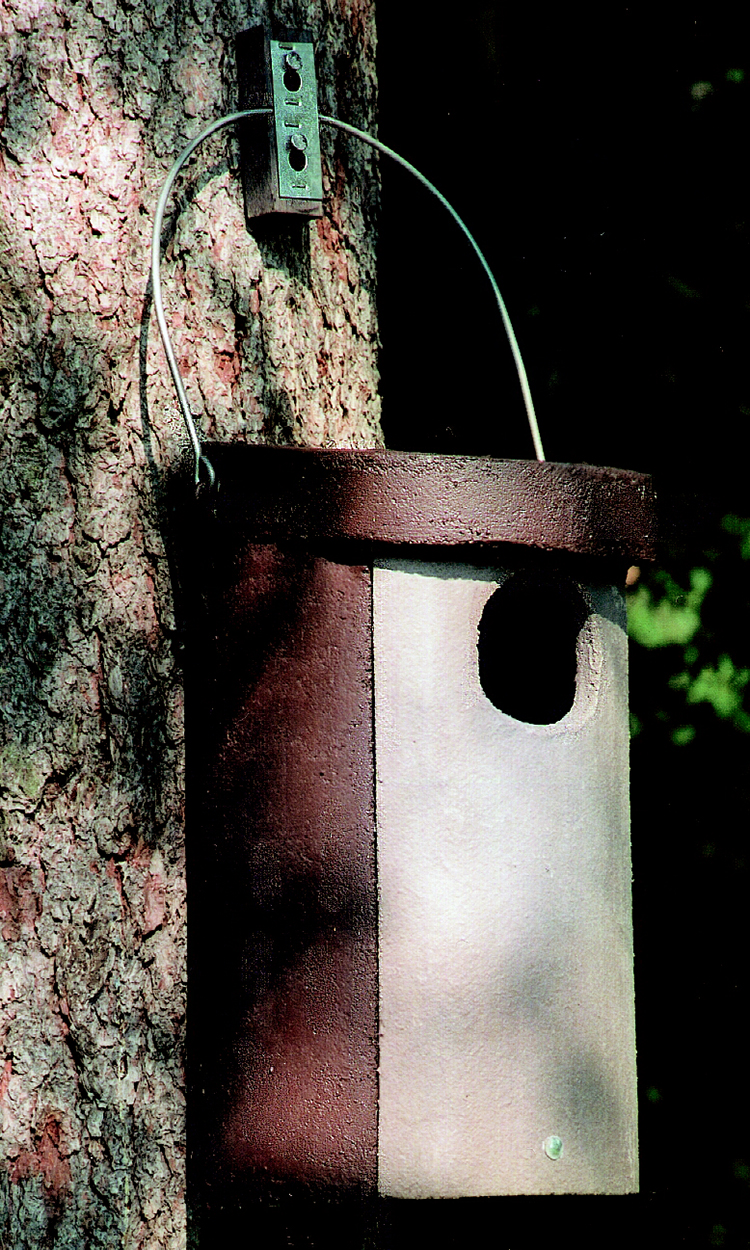 Nº 4 CAJA NIDO PARA MOCHUELO BOREAL