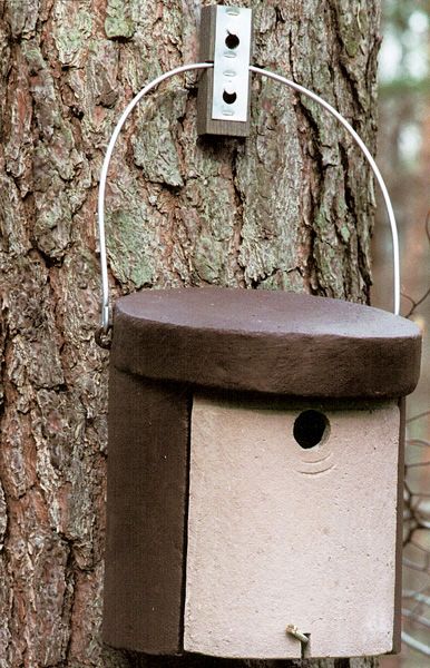 5KL CAJA NIDO PARA TREPADOR AZUL 3